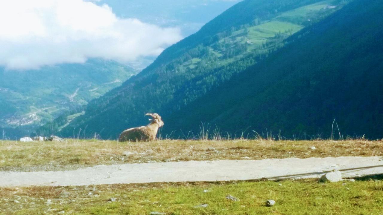 Отель Val Des Dix Couta Экстерьер фото