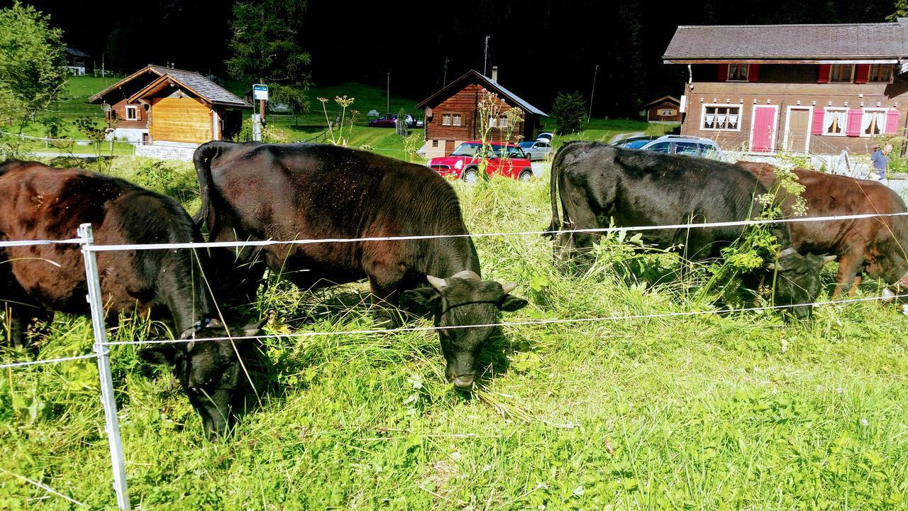 Отель Val Des Dix Couta Экстерьер фото