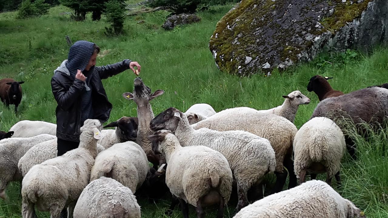Отель Val Des Dix Couta Экстерьер фото