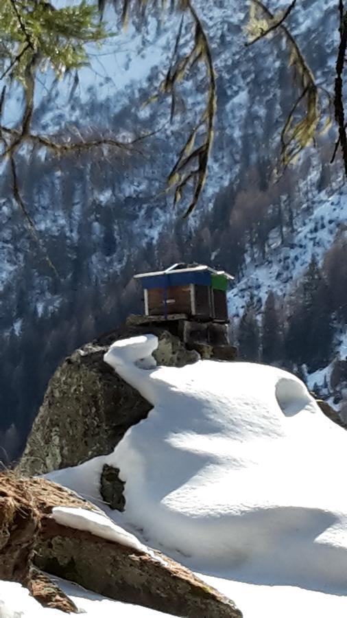 Отель Val Des Dix Couta Экстерьер фото